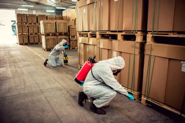 Best Termite Control Services  in Jasper, FL