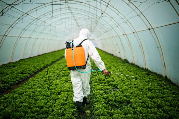 Best Affordable Exterminators  in Jasper, FL