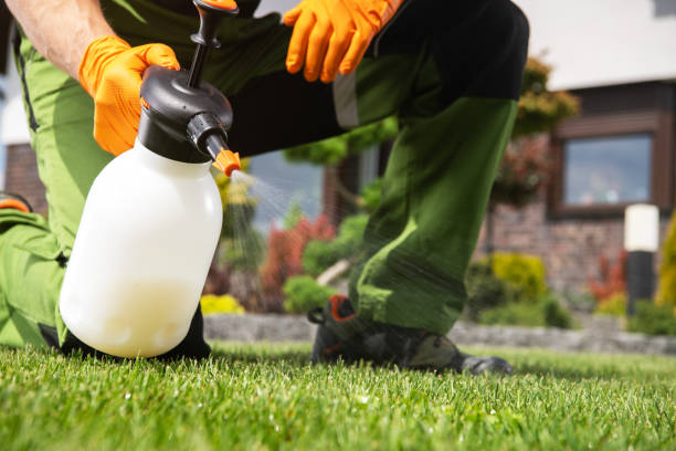 Best Wasp Removal Services  in Jasper, FL