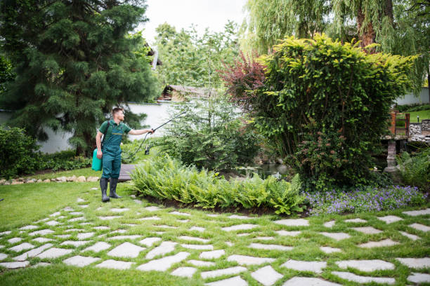 Best Local Pest Control Services  in Jasper, FL
