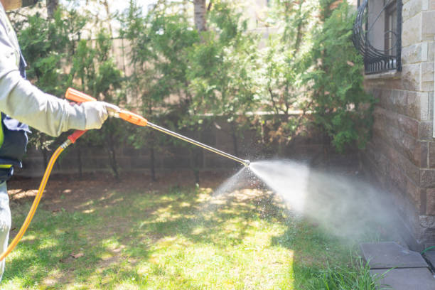 Best Commercial Pest Control Services  in Jasper, FL